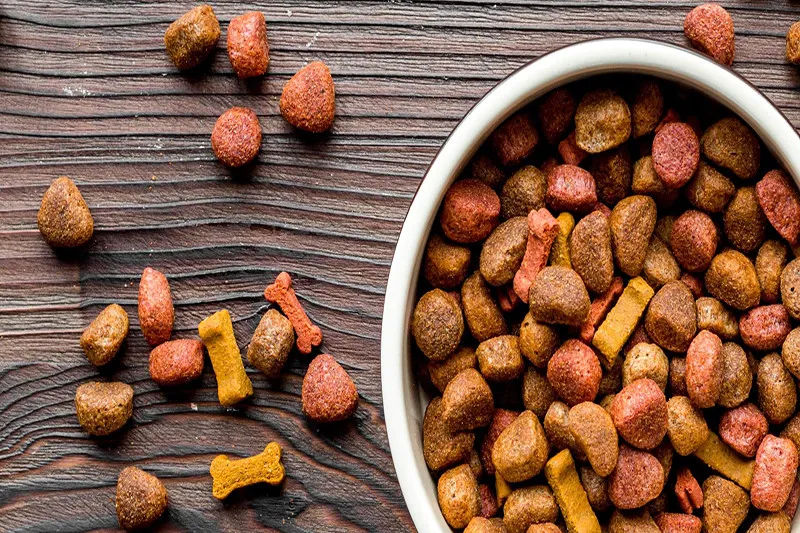 Pet Food Freeze-drying