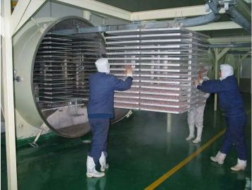 Freeze Dryer Successful Project 4