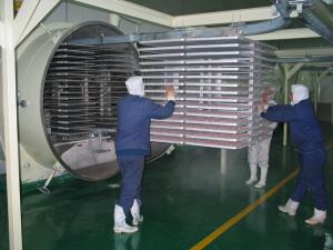 Liofilizator z vakuumskim zamrzovalnim sušilnikom za industrijsko hrano in zelenjavo