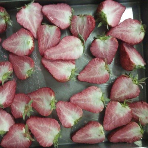 Lyophilizer Freeze Dryer For Roses Fruit And Vegetables Freeze Drying Machine
